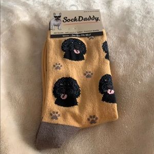 Portuguese Water Dog Socks—Sock Daddy